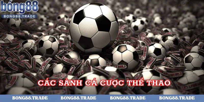 Các sảnh cá cược thể thao