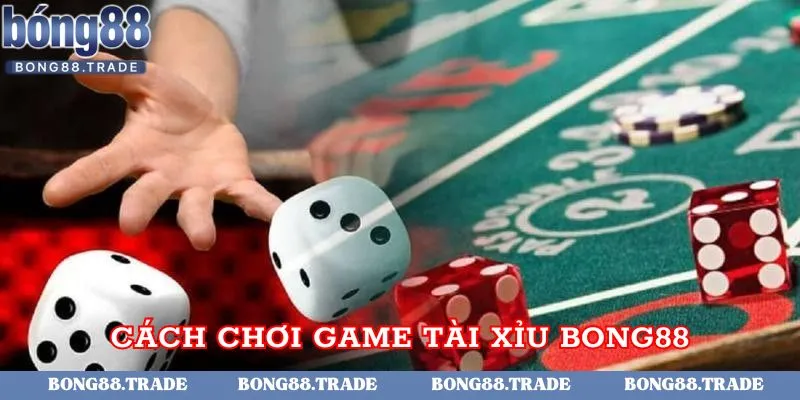 Các bước chơi game tài xỉu chi tiết tại Bong88