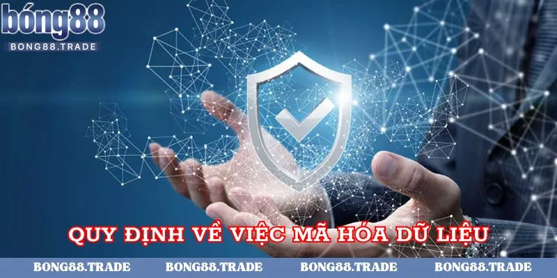 Quy định về việc mã hóa dữ liệu thông tin