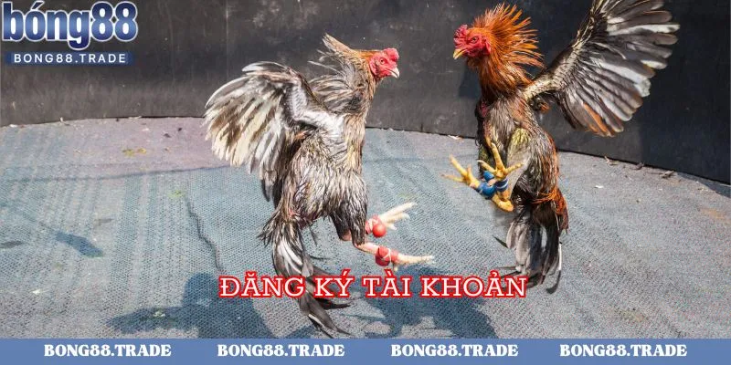 Đăng ký tài khoản khi trải nghiệm tại hệ thống