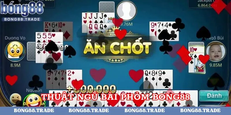 Thuật ngữ xuất hiện khi chơi phỏm online