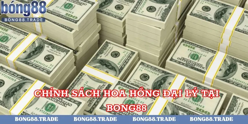 Chính sách hoa hồng đại lý tại Bong88